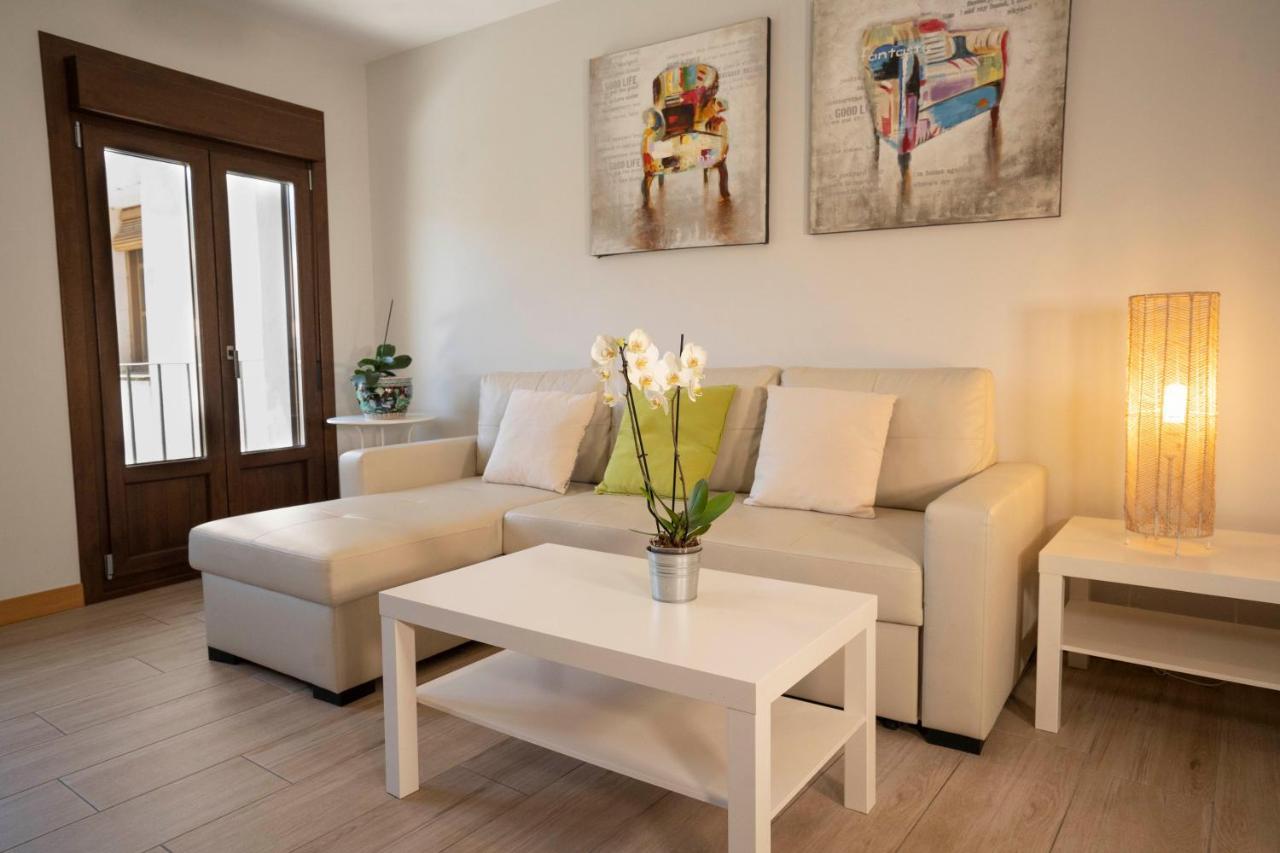 Apartamentos Terraza Ega Estella Extérieur photo