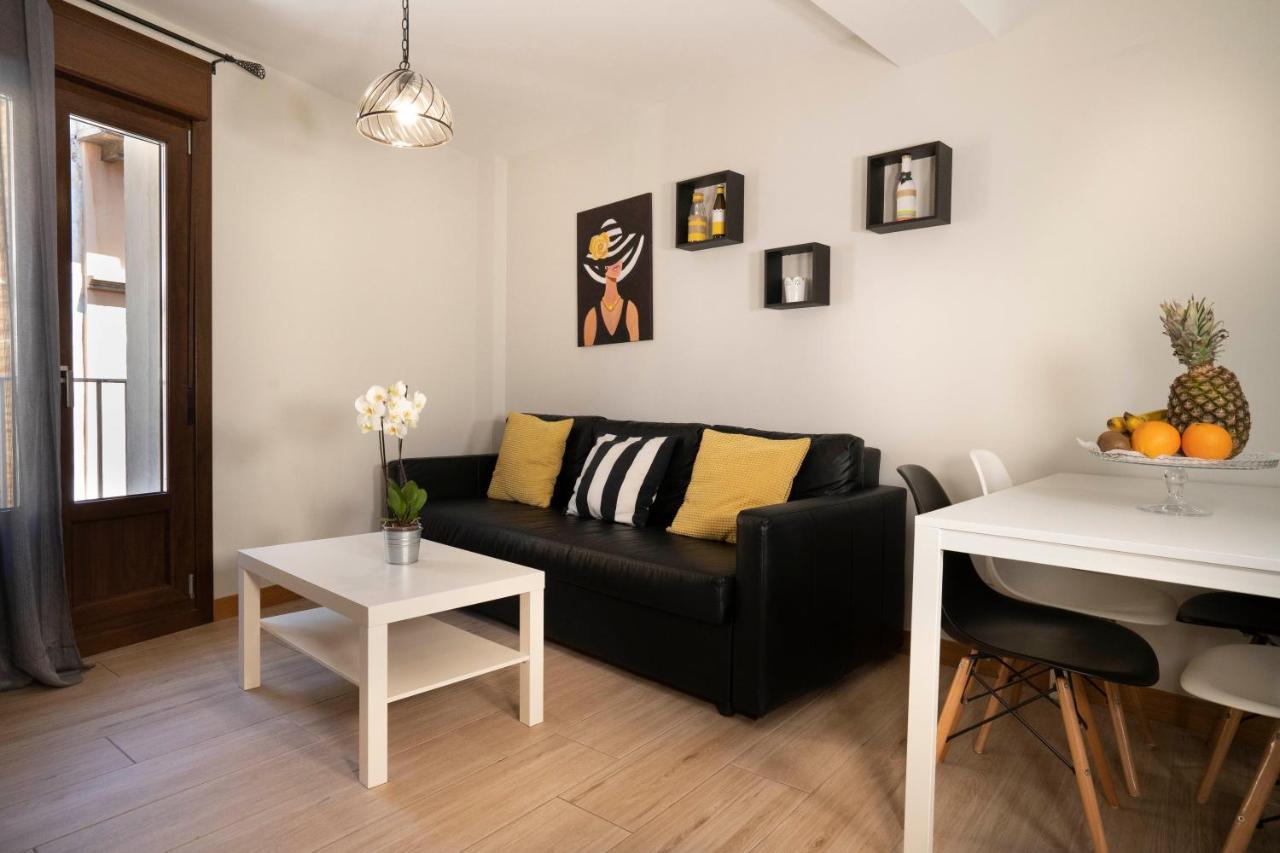 Apartamentos Terraza Ega Estella Extérieur photo